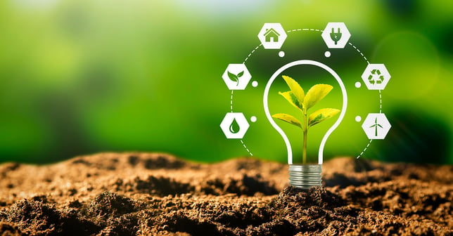 sustainability 