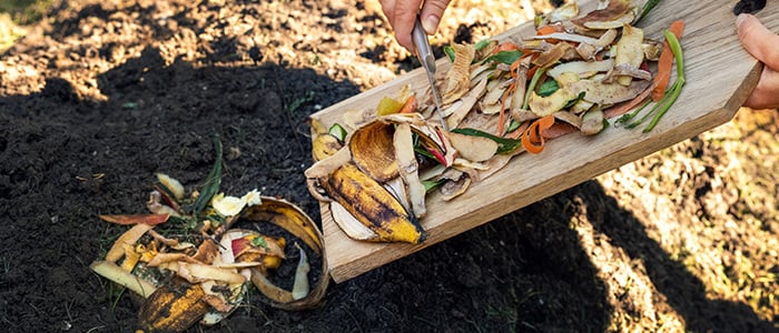 recycling food waste in the ground