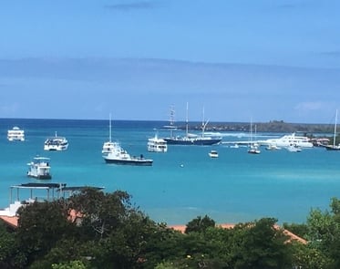 sustainability on the Galapagos Islands