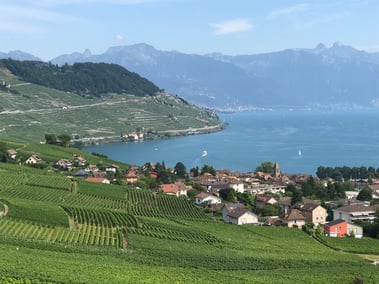 Lavaux vineyards