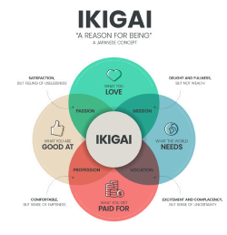 Ikigaismall