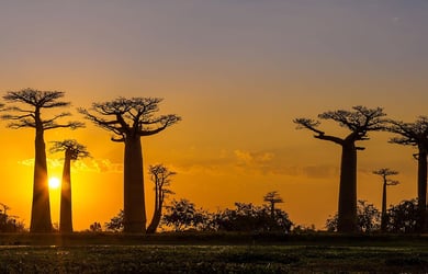 What will the 2018 elections mean for Africa’s economies and the tourism industry?
