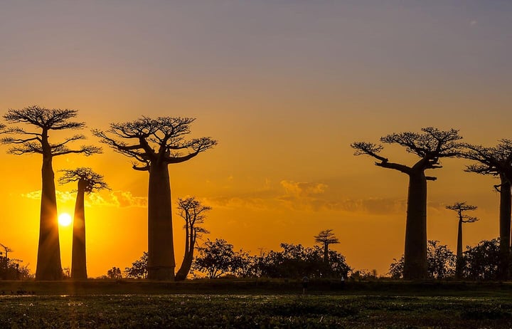 What will the 2018 elections mean for Africa’s economies and the tourism industry?