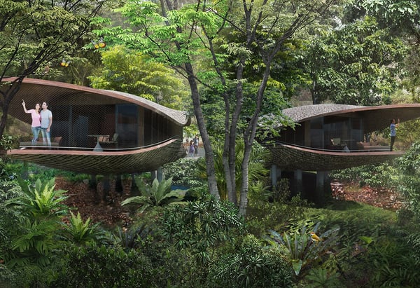 Biophilic-design-singapore