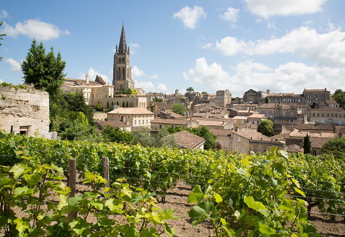How Wineries Build Their Reputation