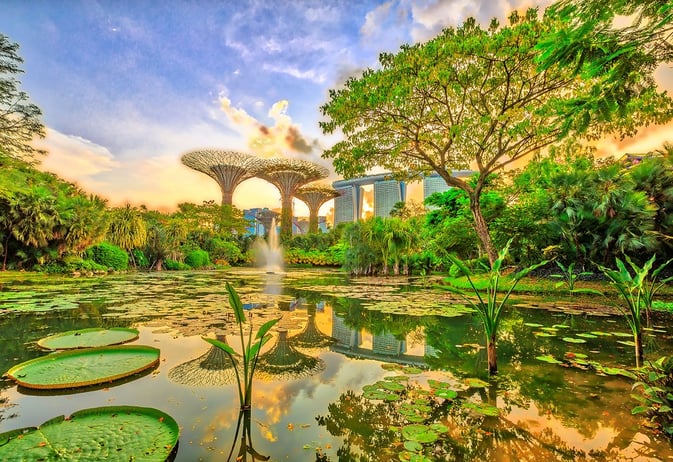 Biophilic Design
