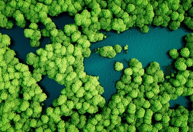 Teaching Sustainability in STEM and Hospitality Programs: 