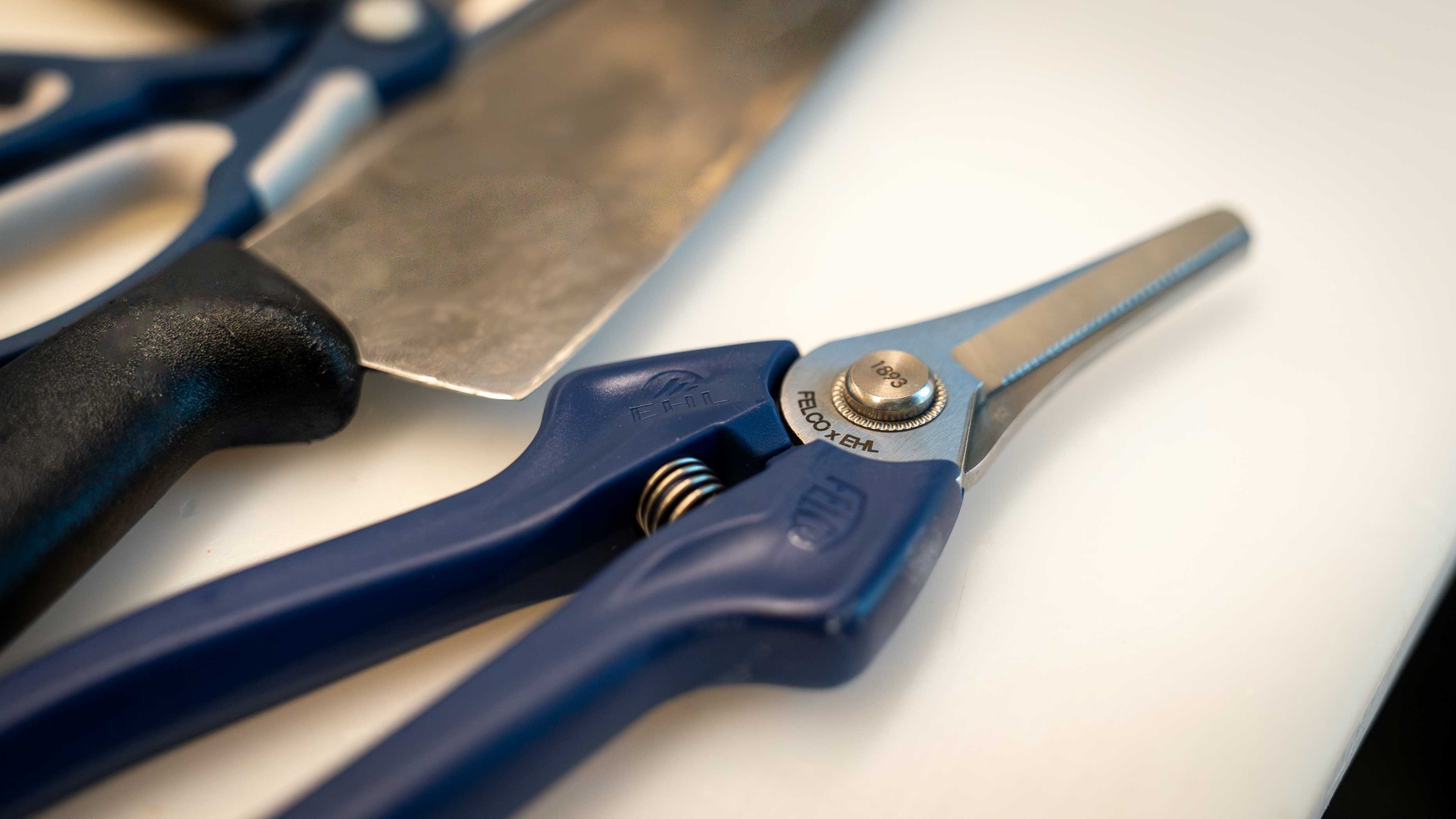 Culinary shears Felco 1893