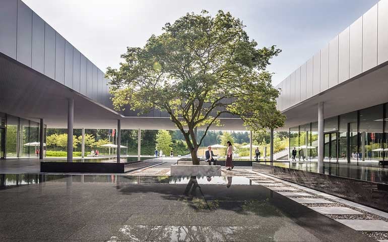 Tranquil courtyard setting featuring a tree, enclosed by brick walls and surrounded by plants