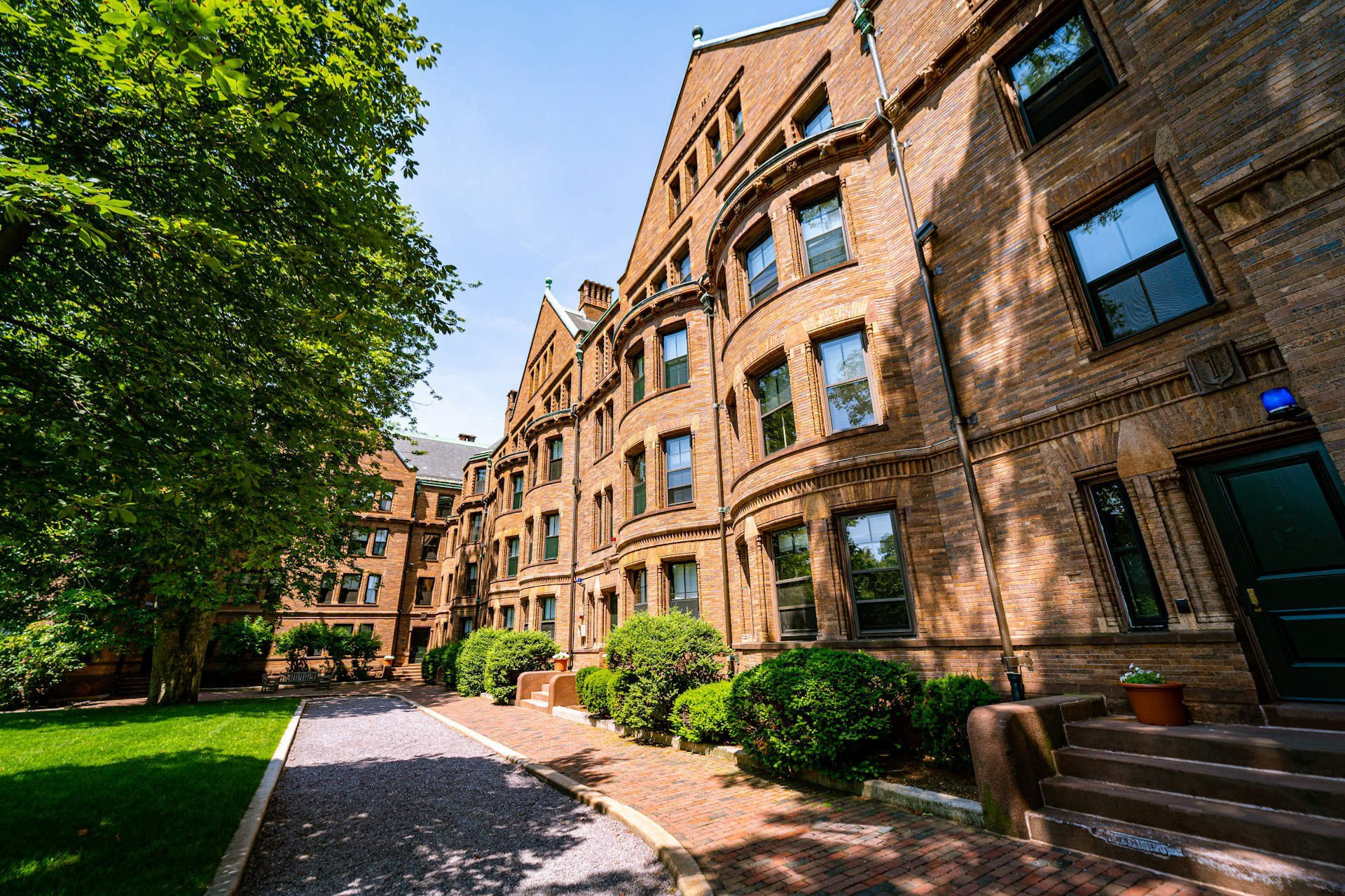 Harvard college