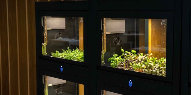 sustainable bistronomy