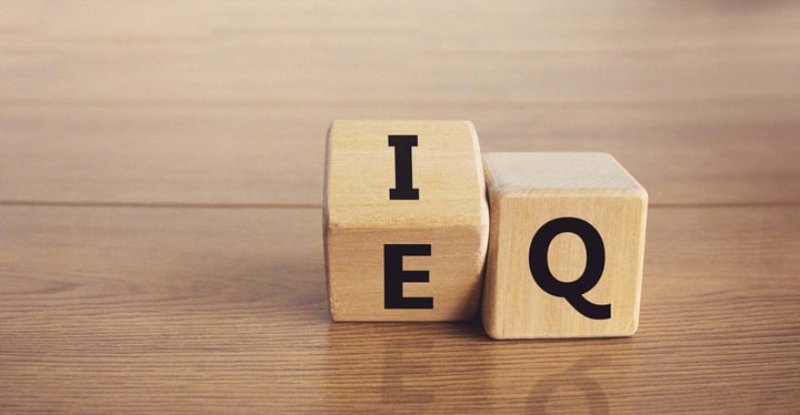 emotional intelligence