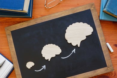 Why lifelong lllearning is important