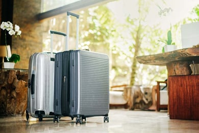Two suitcases sitting in a nature setting