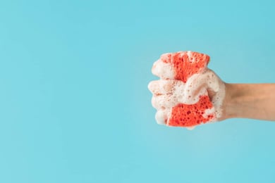 Sponge mentality: The pathway to leadership