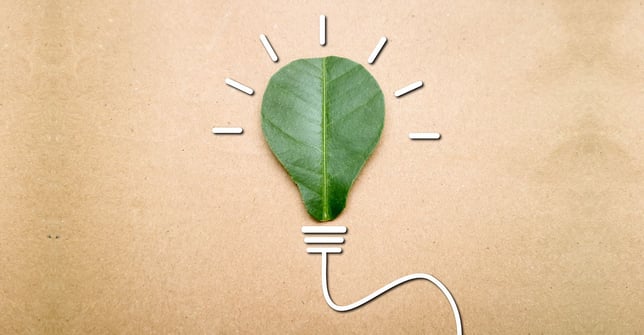 Innovative sustainable travel and hospitality start-ups