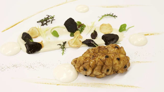 Best veal sweetbreads recipe