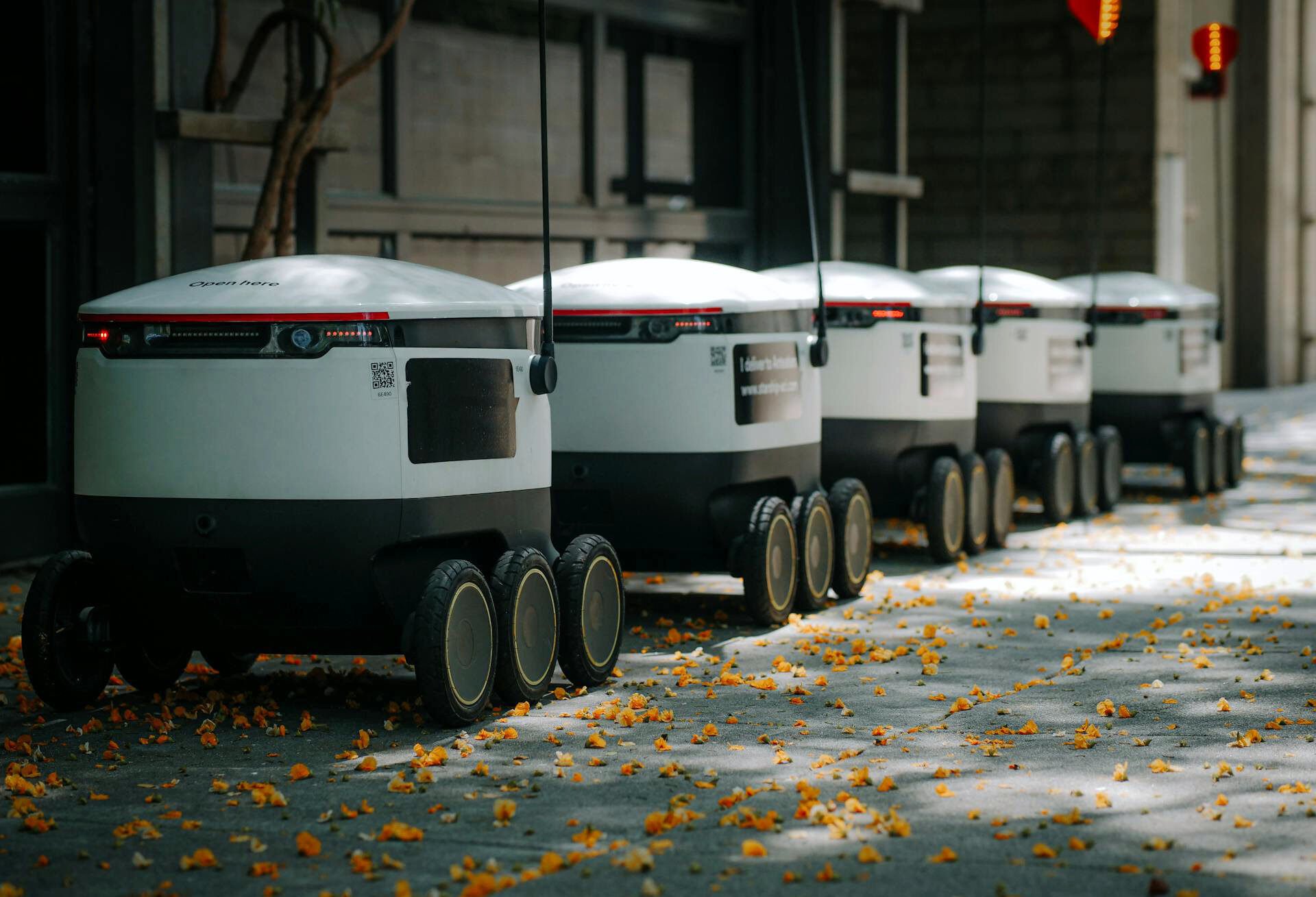 Robo delivery rovers