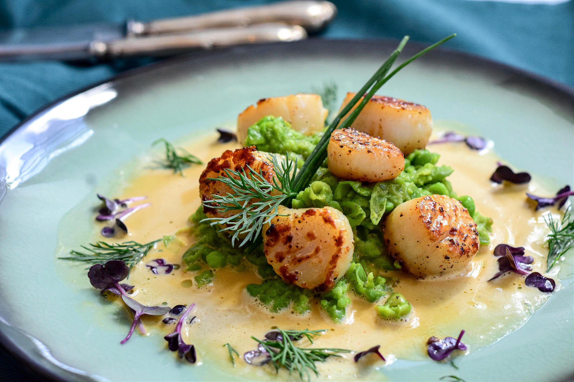 veloute-sauce