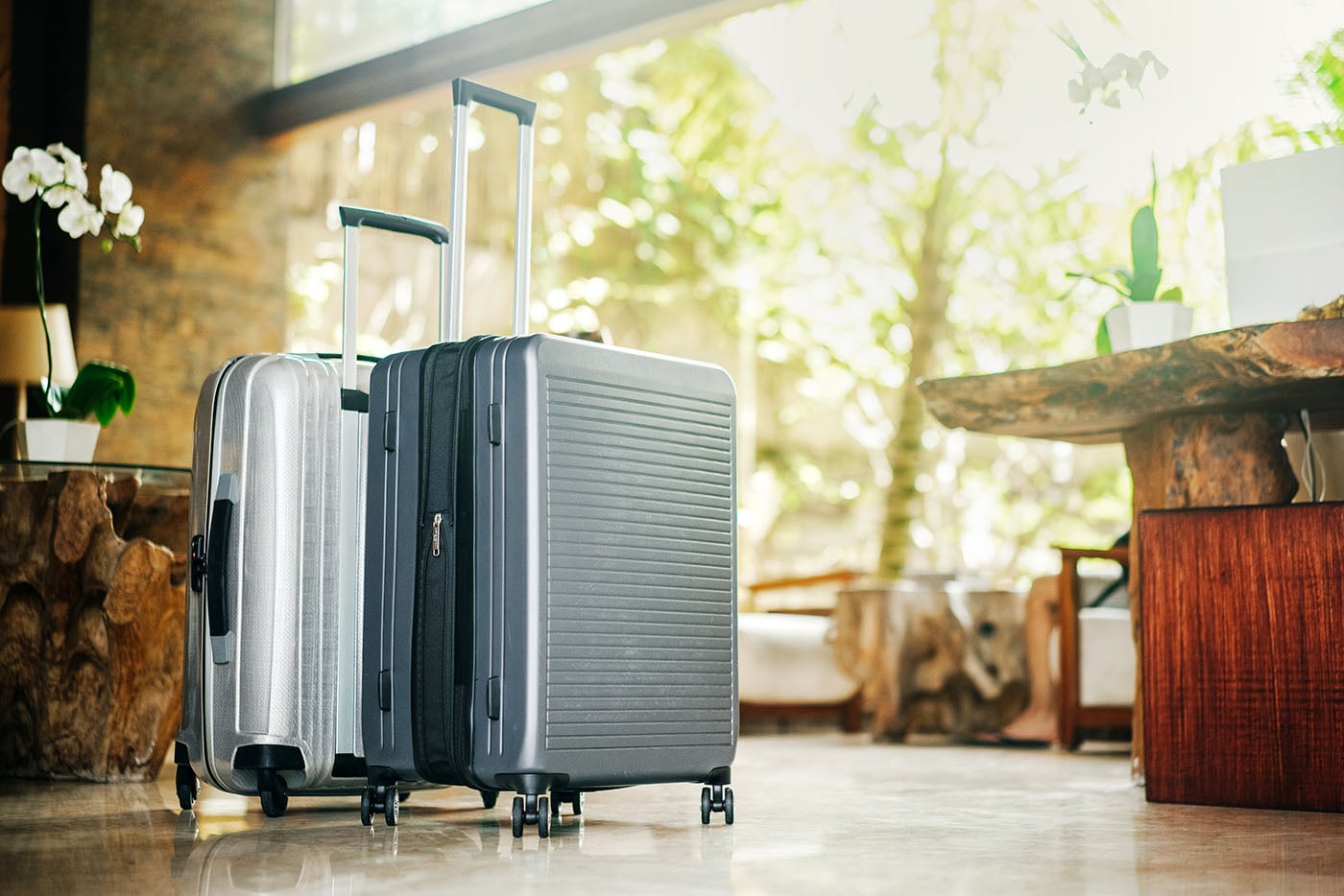 Two suitcases sitting in a nature setting