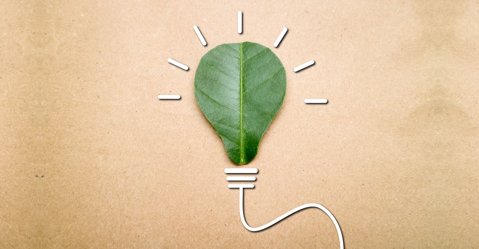 Innovative sustainable travel and hospitality start-ups