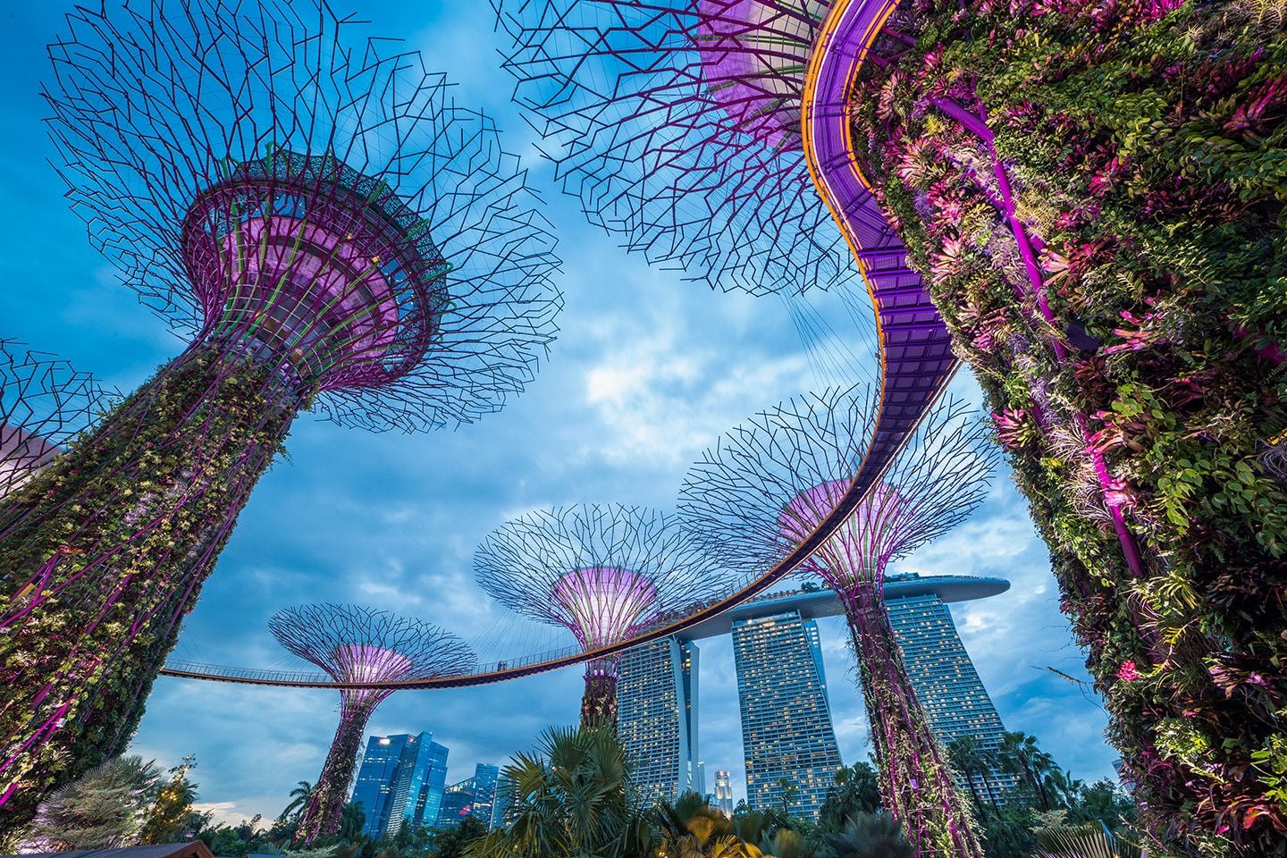 Study in Singapore
