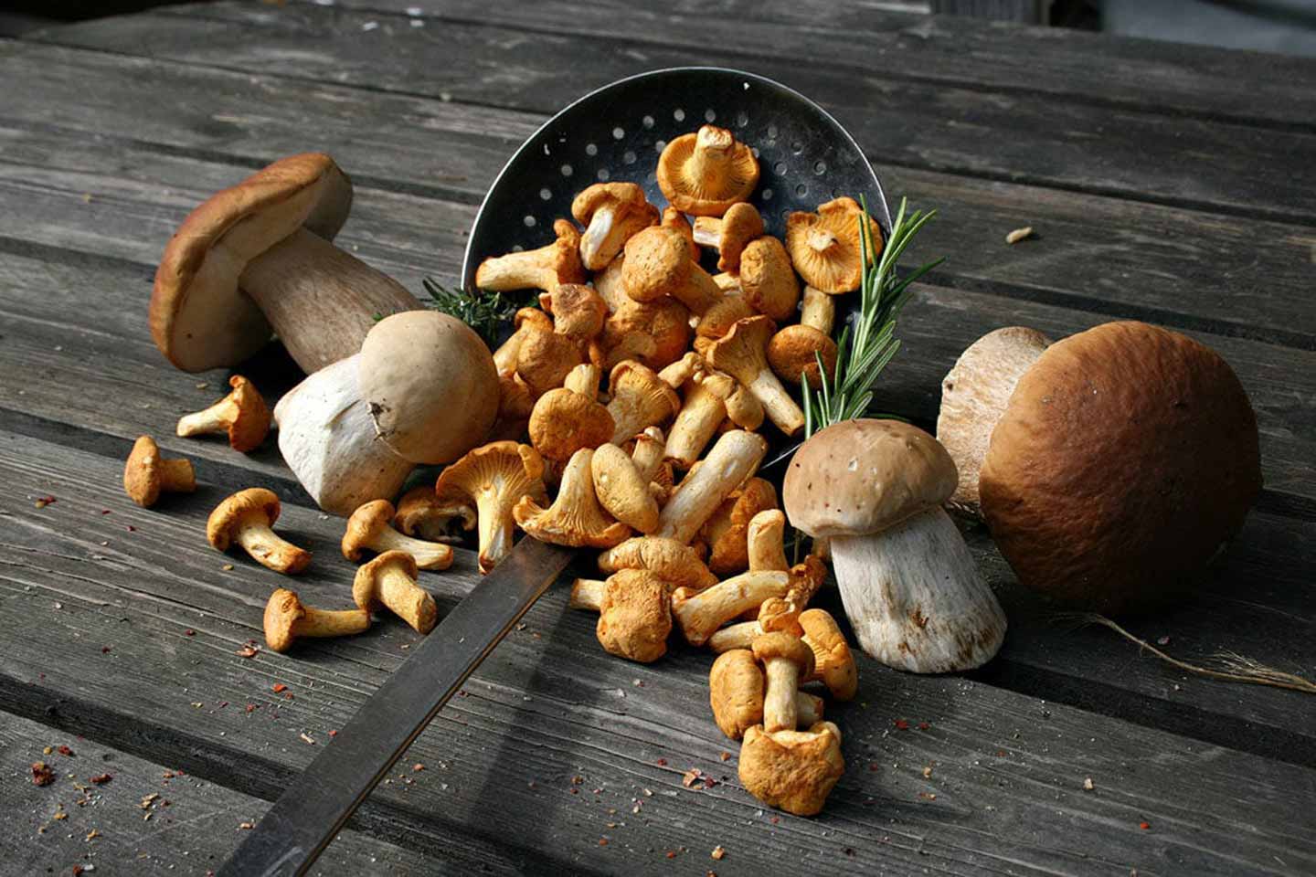 champignons, recettes de champignons