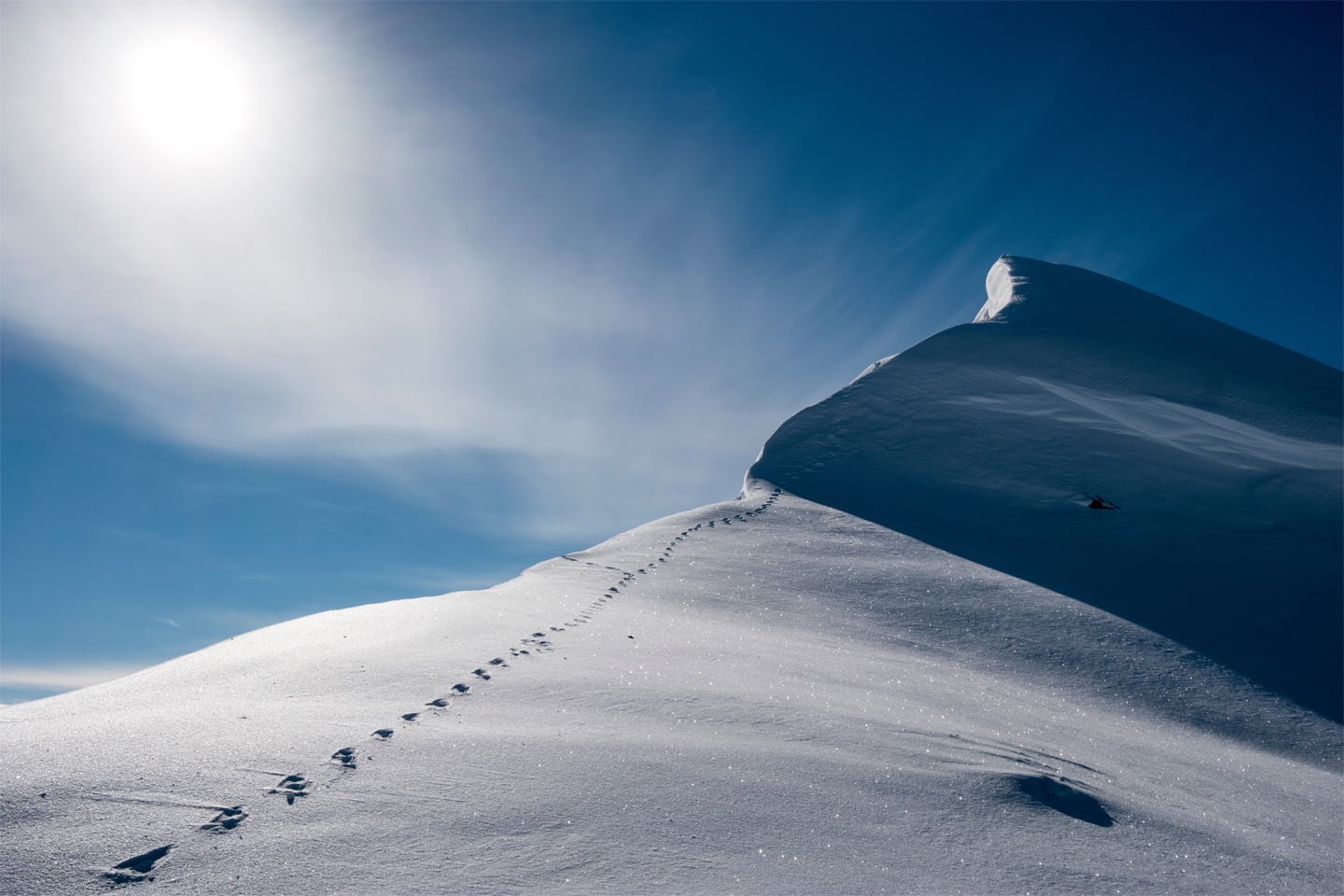 Commencer un bachelor au semestre d'hiver