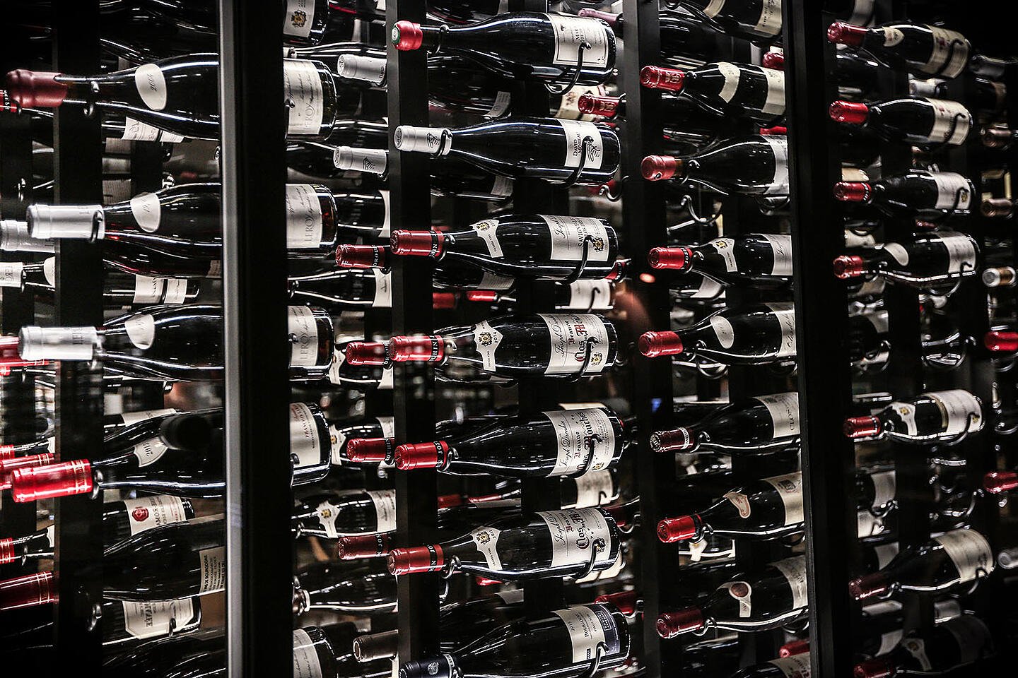 Wine Tasting and Education